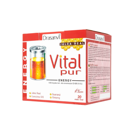 Drasanvi Vitalpur Energy 20 Viales