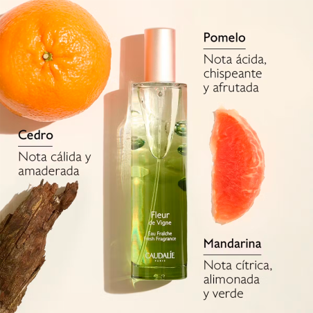 Caudalie Colonia Fleur De Vigne 50 Ml