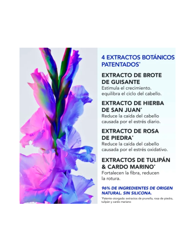 Phyto Phytophanere Ampollas