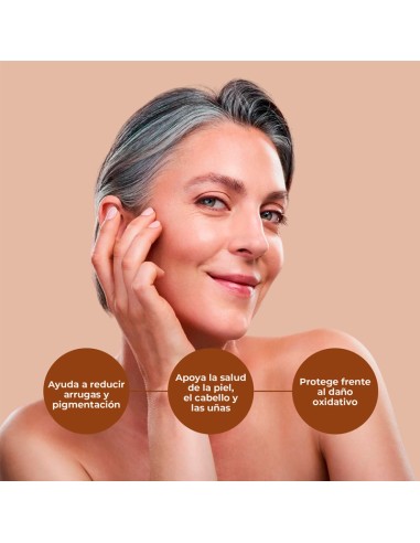 Gold Collagen Forte 10 Ampollas