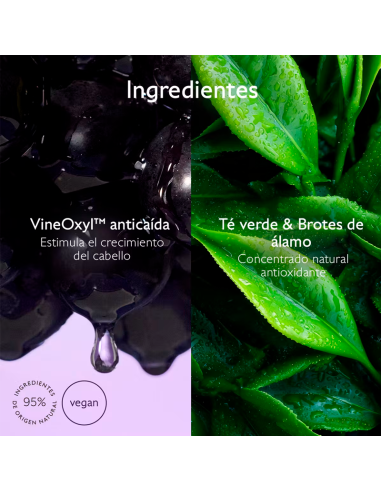 Caudalie Shampu Densidad Y Volumen 200ml
