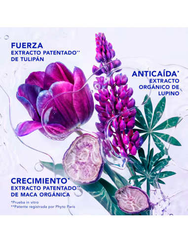 Phyto Phytocyane Intensivo Mujer 12 U