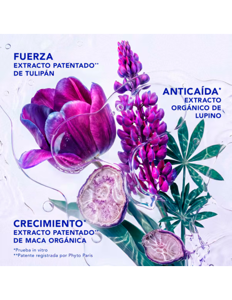 Phyto Phytocyane Intensivo Mujer 12 U