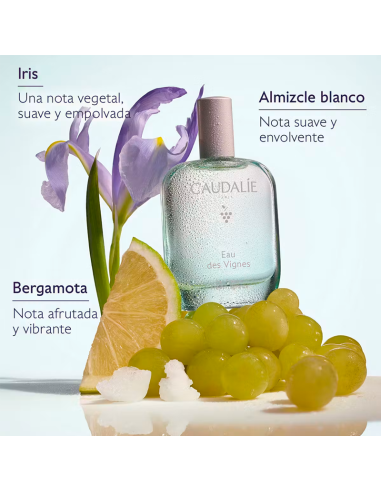 Caudalie Colonia Eau Des Vignes 50 Ml