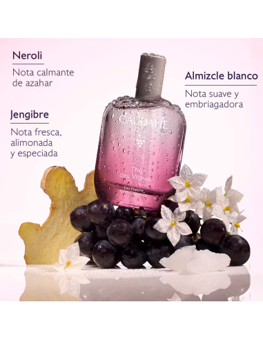 Caudalie Colonia Thé Des Vignes 50 Ml
