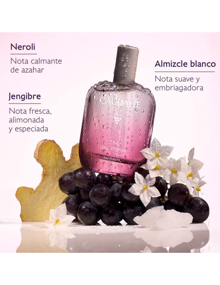 Caudalie Colonia Thé Des Vignes 50 Ml