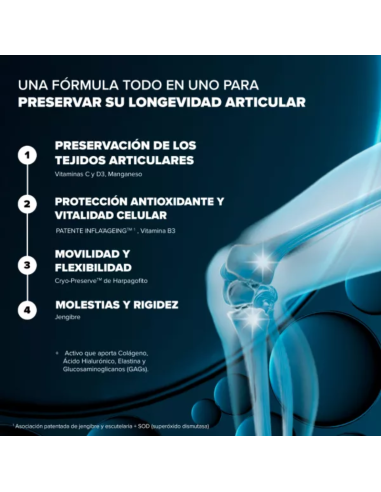 Longevidad Cuidado Articular  60 Caps