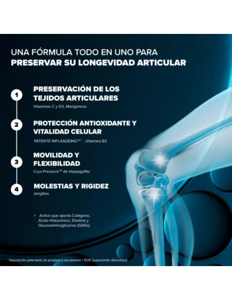 Longevidad Cuidado Articular  60 Caps